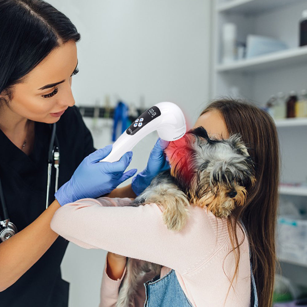 Pet Post-Surgery Light Therapy For Dog Wound Healing Products