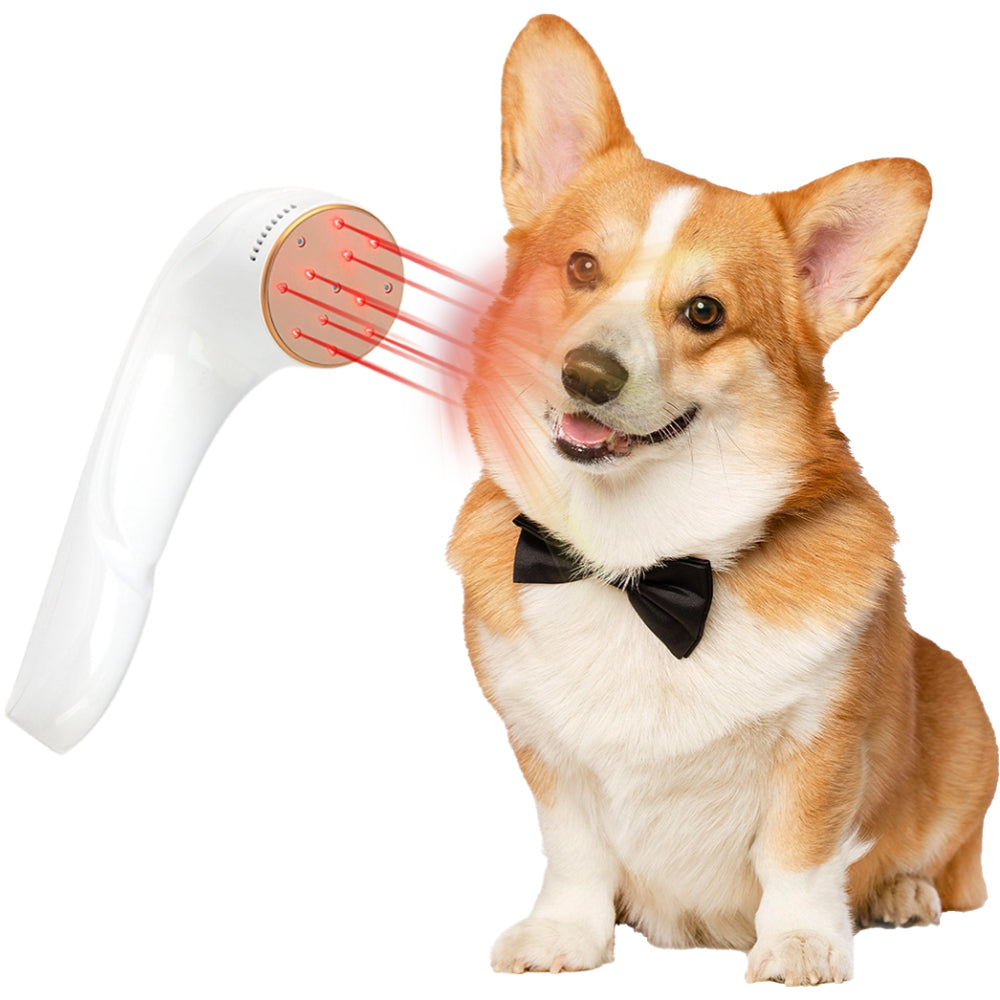 Pet Post-Surgery Light Therapy For Dog Wound Healing Products
