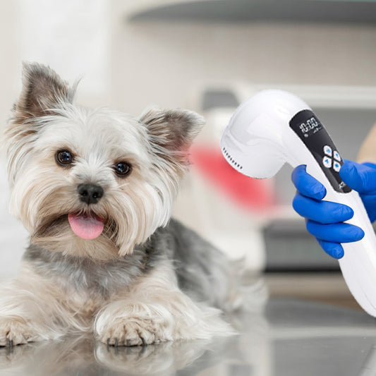 Senior Dog Arthritis Pain Relief Easy to Use at Home Infrared Light Therapy Animal Product