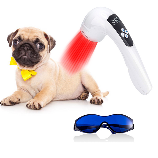 Dog Ear Infection Laser Therapy Animal Infrared Therapy for Dog Arthritis Treatment