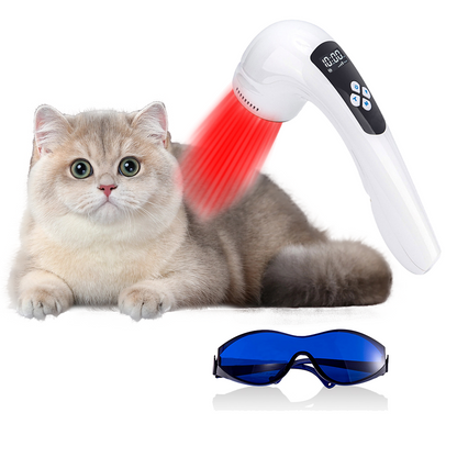 Dog Ear Infection Laser Therapy Animal Infrared Therapy for Dog Arthritis Treatment