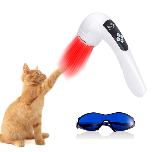 Cat Gingivitis Treatment & Kitten Respiratory Infection Infrared Light Therapy